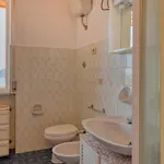 Pet Friendly In Apartamento *