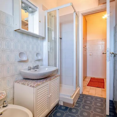 Apartment Pet Friendly In With Kitchen