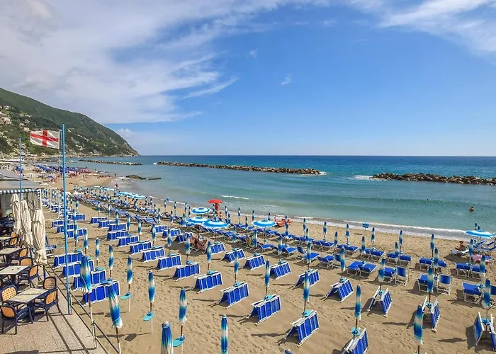 Pet Friendly In Apartmán